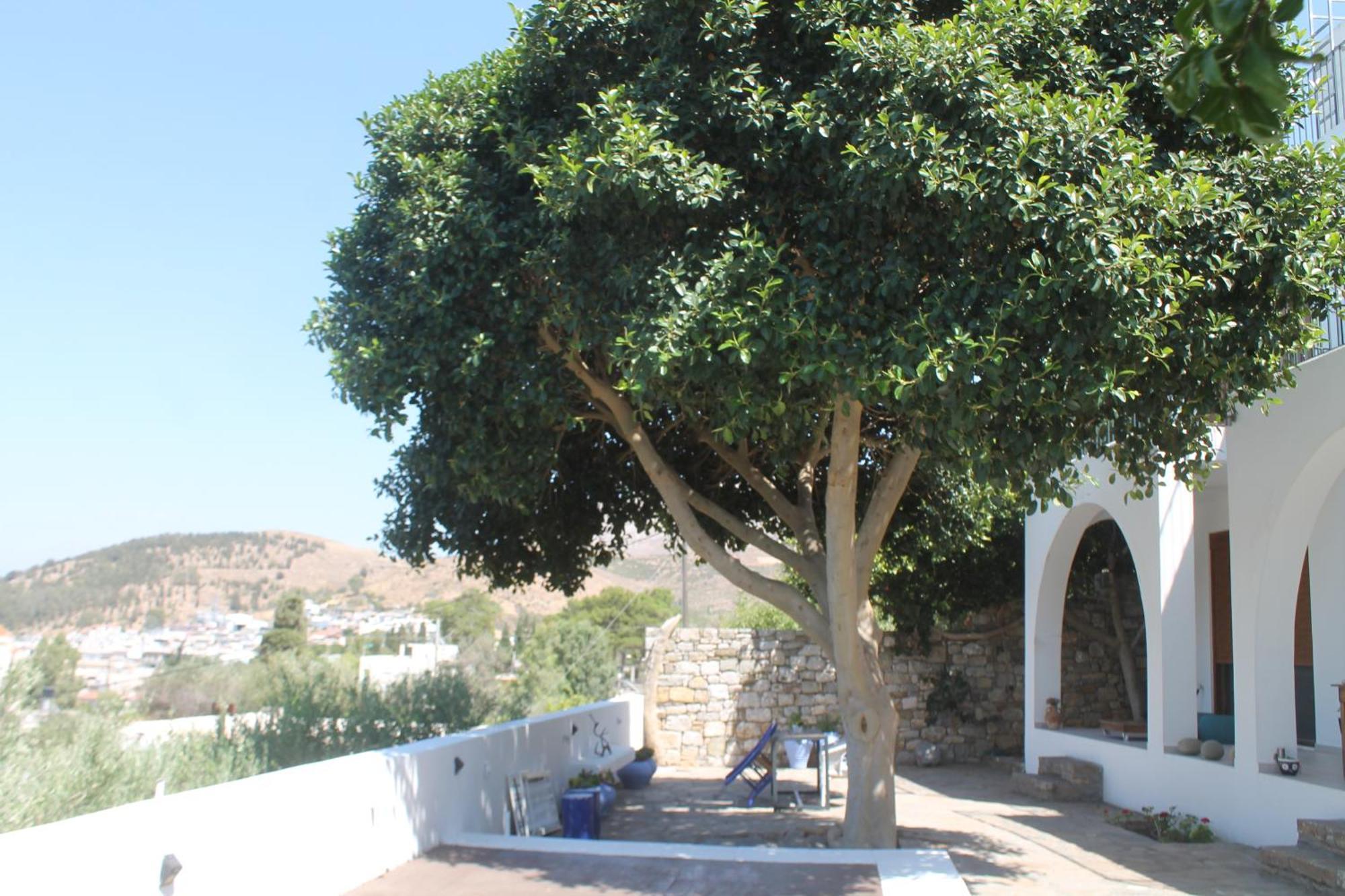 A Crystal Clear House In Pyrgos, Heraklion Crete Pirgos  Exterior photo